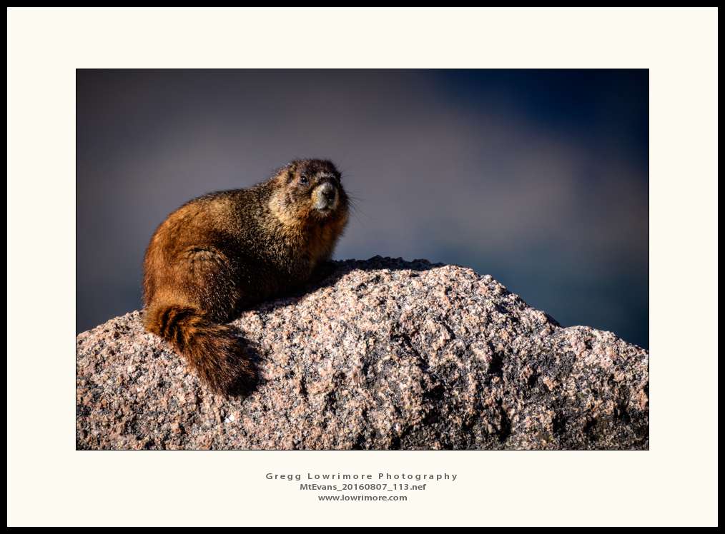Mt Evans 20160807 113